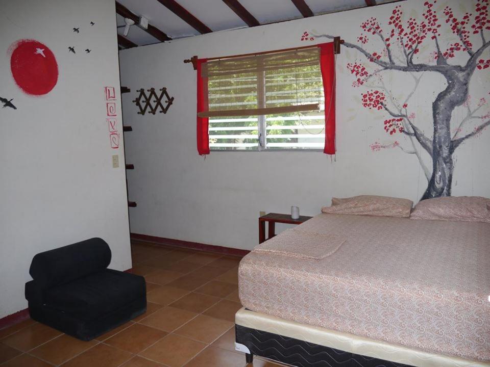Free Spirit Hostel Transito Exteriér fotografie