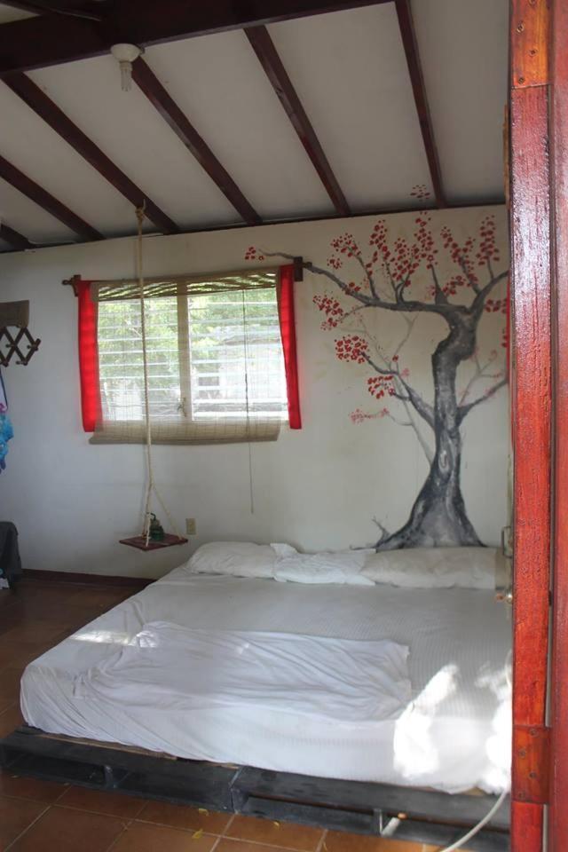 Free Spirit Hostel Transito Exteriér fotografie